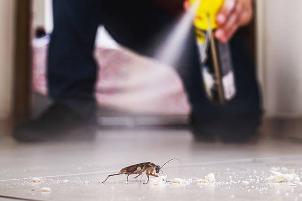 Flea Control Services in Unionville, TN