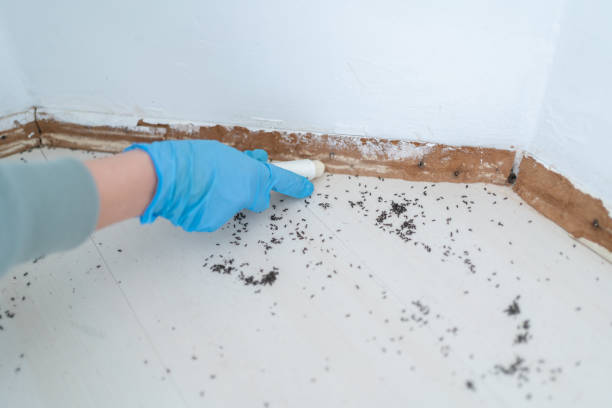 Pest Control for Restaurants in Unionville, TN