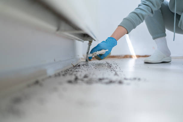 Best Local Pest Control Services  in Unionville, TN